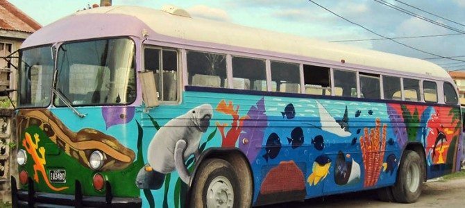 Belize Guide: 8 Helpful Tips for Traveling by Bus