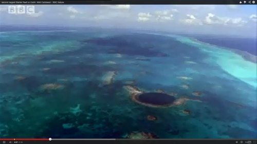 Belize Barrier Reef Video