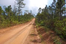 Preserving The Rich Gra Gra Lagoon National Park