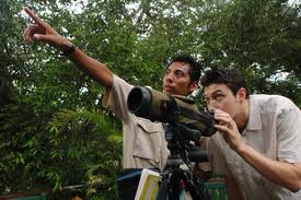 Bird Watching Hotspots in Belize